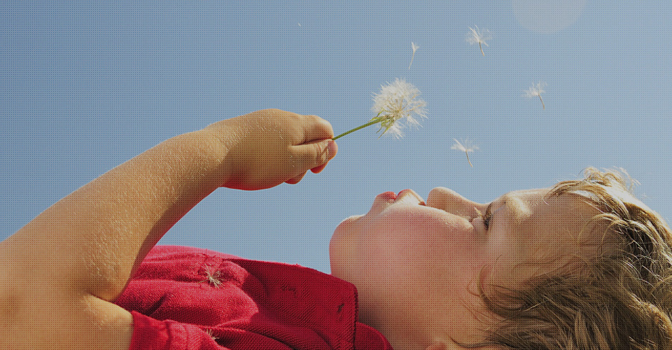 米乐体育app下载